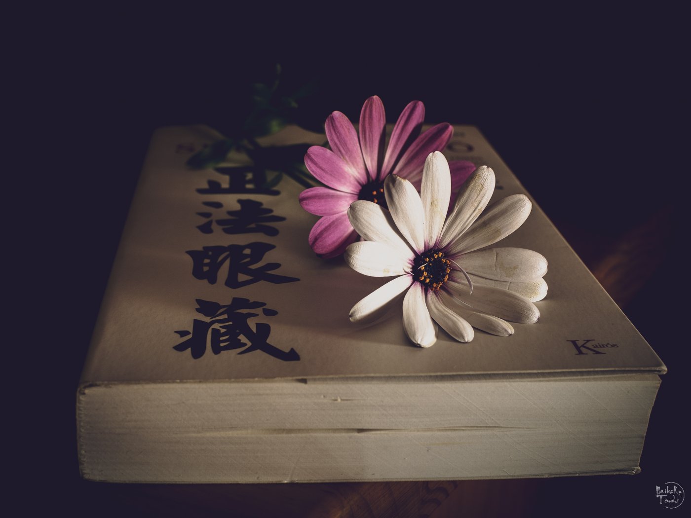 Dōgen y el Shōbōgenzō: quién fue y qué quiso decir el maestro zen más difícil de leer.